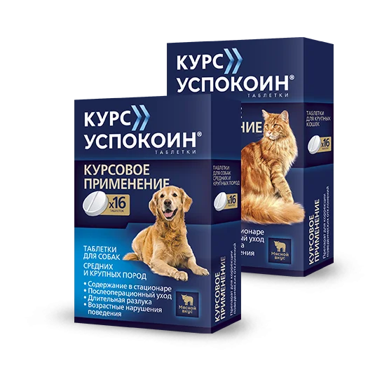 Курс Успокоин